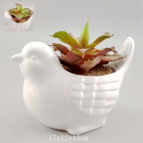 vasi in ceramica per uccelli