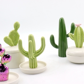 collezione di piatti in ceramica per gioielli in cactus