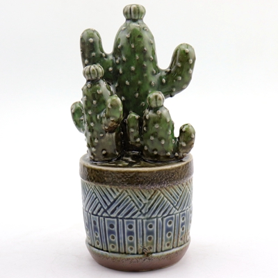 Cactus Decoration Ideas