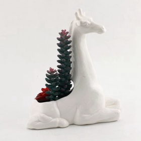 Piantatrice giraffa in ceramica bianca con piante