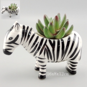 zebra succulent pot mini vaso in ceramica