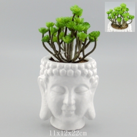 vasi di piante di testa di buddha