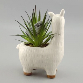 simpatico vaso di lama alpaca con piante piene