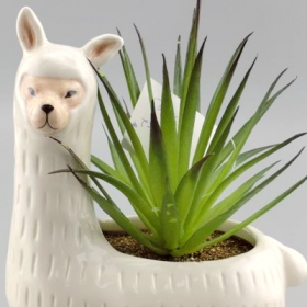 simpatico vaso di lama alpaca con piante piene