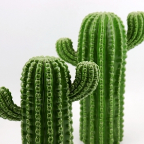 comprare decorazione cactus