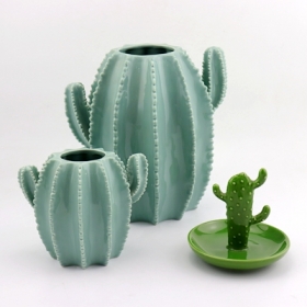 vaso di cactus in ceramica