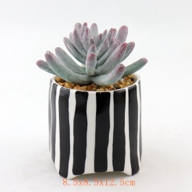 black dots mini vaso in ceramica per piante grasse vaso nero in terracotta a righe nere