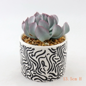vasi da fiori succulenti per desktop in ceramica verniciati bianchi e neri